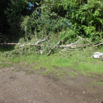 2012_07_19_baum_4