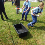 gemwettbwgailh040513_14