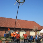 2016-05-01_Maibaum 009