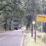 2020-08-09_Baum-auf-Strasse_16