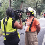 2020-08-09_Baum-auf-Strasse_17