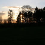 IMG_5189_1